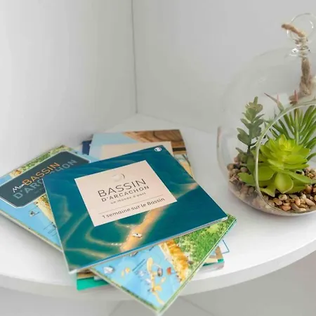 Les Pieds Dans L Eau En Hyper Centre